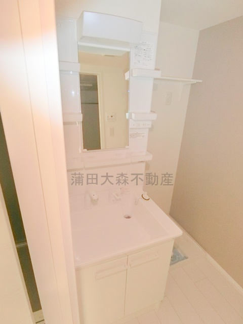 フラシア新蒲田の洗面所