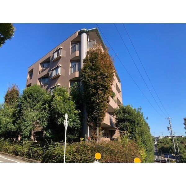 ルミナス山手の外観