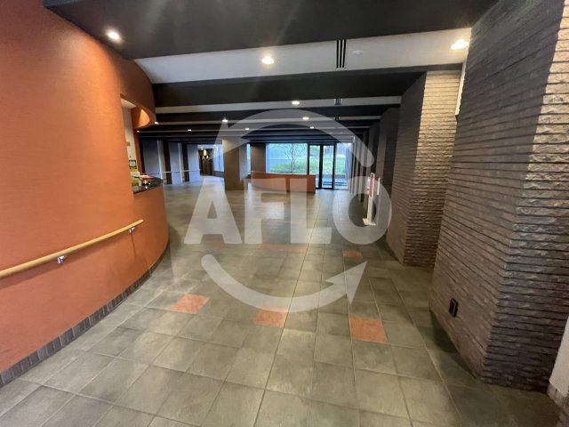 エル・セレーノ上本町レジデンス　桃陽小学校区のロビー|エルセレーノ上本町レジデンス　ロビー