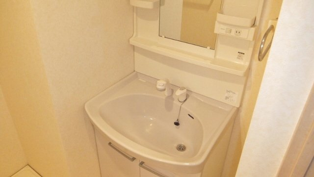 グレイスヴィラの洗面所|シャンプードレッサー付きです
