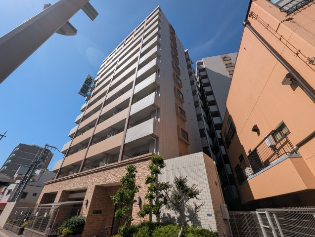 エクセレント上新15