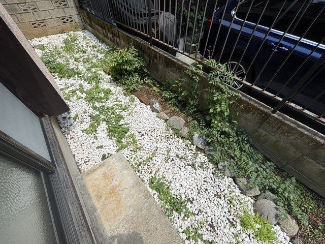 練馬北町戸建の庭
