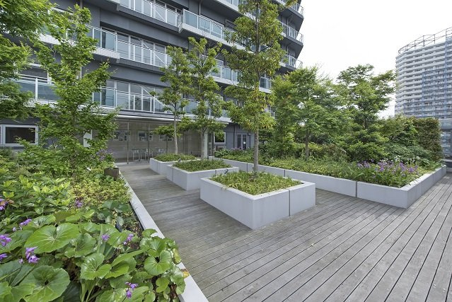 5階屋上ガーデン