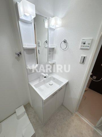 Ｄ　ｐｏｒｔａ　ｂｉｊｏｕの洗面所