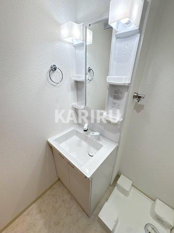 Ｄ　ｐｏｒｔａ　ｂｉｊｏｕの洗面所
