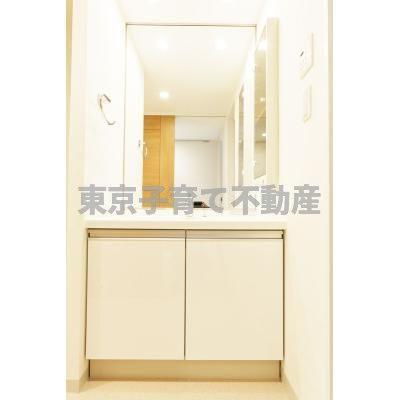 パークアクシス御茶ノ水ステージの独立洗面台