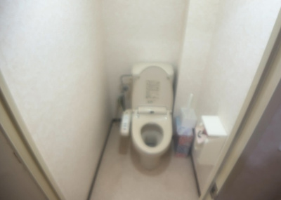【トイレ】 | ハイマート厚木Ｂ棟 | トイレは大きさや形、機能、抗菌性などが異なる多種多彩なタイプが各メーカーから出ています。それぞれに良さがあるため、事前にどういったタイプのトイレがいいのかをご家庭内で決めて、内見に行くといいでしょう。