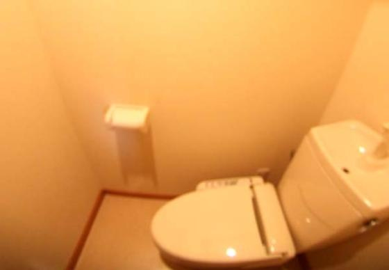 ＬＩＶＲＥ1のトイレ|清潔感のあるトイレです