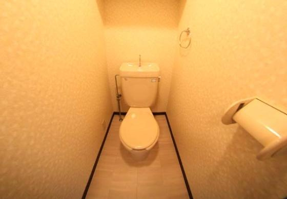 マメゾン21のトイレ|落ち着いたトイレです