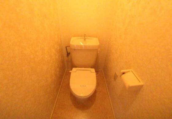 ベルメゾン上松のトイレ|清潔感のあるトイレです