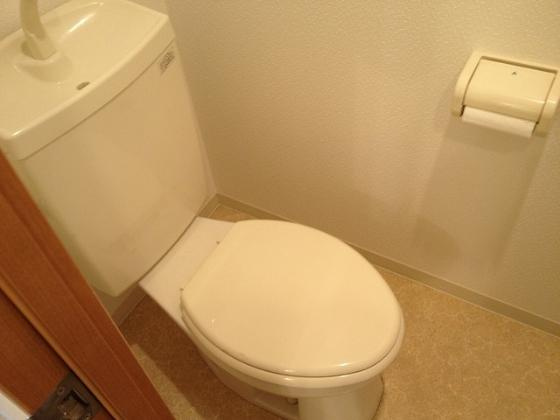 スカイビュー宝泉のトイレ|落ち着いたトイレです