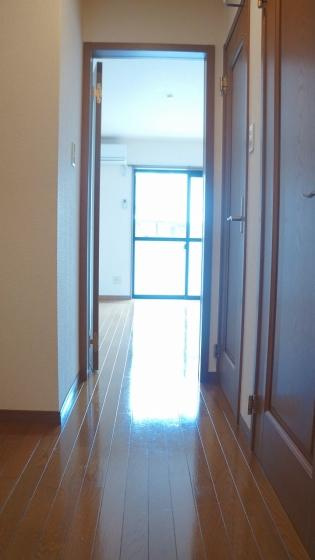 ノール　リヴィエールの玄関|シンプルで使いやすい玄関です