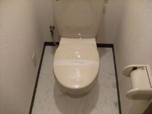グリーンゲイブルズ大町のトイレ|シンプルで使いやすいトイレです