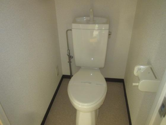 サンリゾート21のトイレ|清潔感のあるトイレです