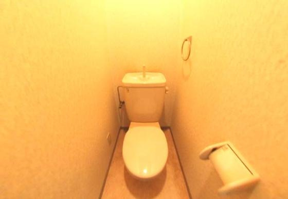 フィール白い雲のトイレ|コンパクトで使いやすいトイレです