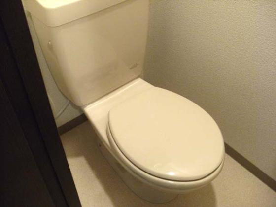 シャインコートのトイレ|コンパクトで使いやすいトイレです