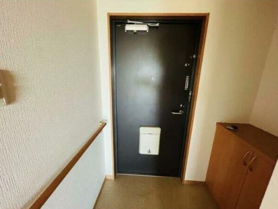 サンロワール和泉砂川の玄関|毎日通る玄関はこちらです