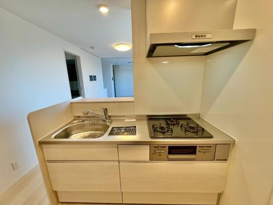 D-ROOM NANKAIのキッチン|使いやすいキッチンです