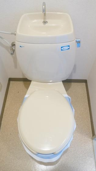 クリーン・ピア・フジのトイレ|落ち着いた色調のトイレです