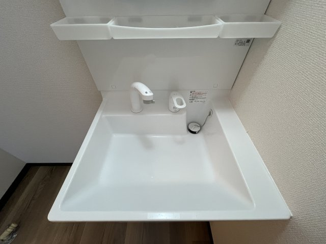 ハイツブルネンの洗面所