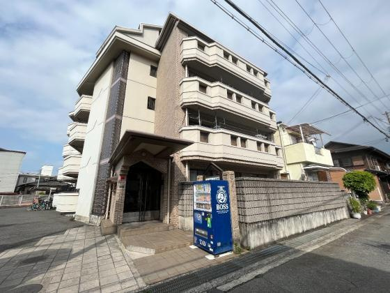 オリーブ沼