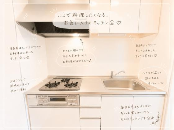 グリーンルーフのキッチン|使いやすいキッチンです