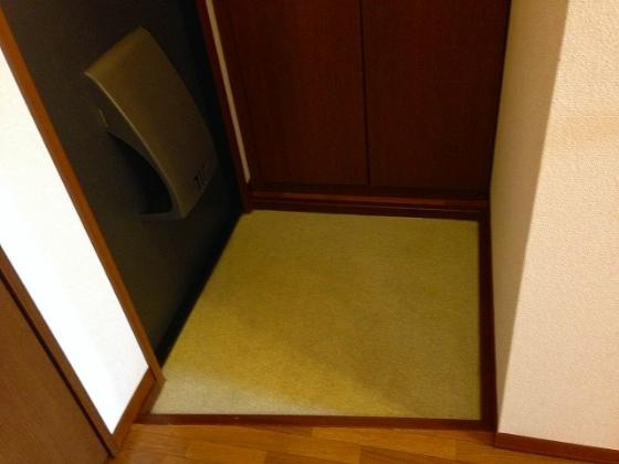 グランメール２１の玄関|きれいな玄関です