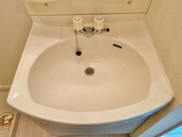 セジュールＺＩＲＯＺＡの洗面所
