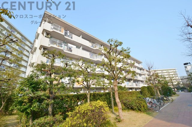 RC造５階建て