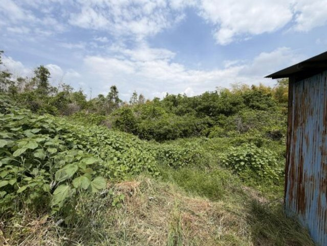 知多郡阿久比町大字矢高字平地　売り土地