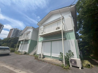 カームコマゴメの画像