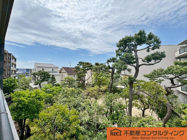 コスモ芦屋川シーサイドテラスの展望