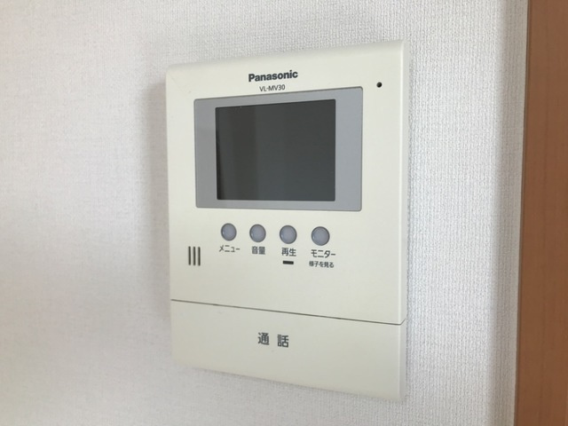 アンジュレーヴのセキュリティ
