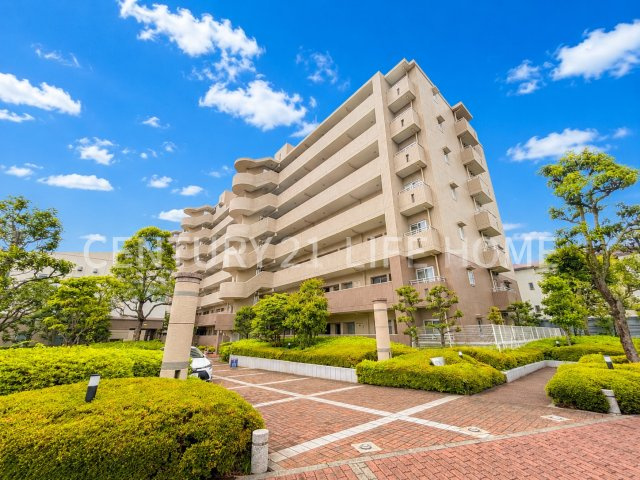 綱島ハイムの画像