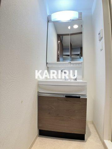 プレサンス水都OKAWAの洗面所