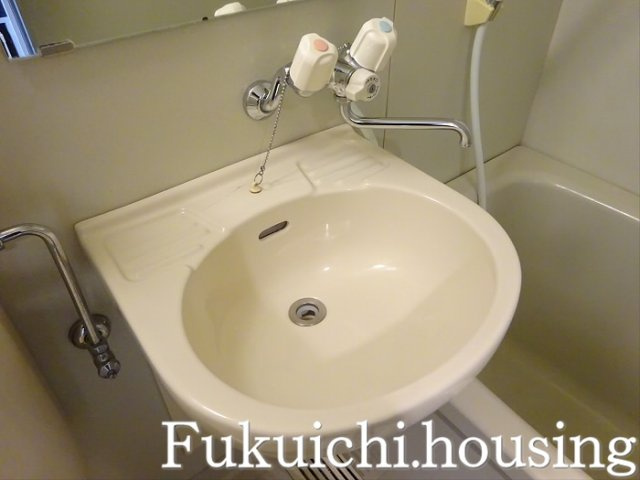 藤和シティスクエア桜上水の洗面所