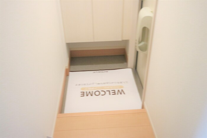 セントラルグレイスC棟の玄関