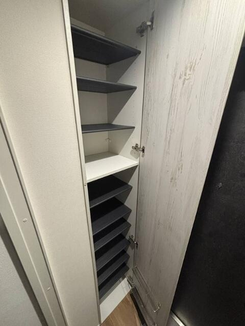 ＧｒａｎＤｕｏ高円寺Ｖの玄関|シューズボックスです