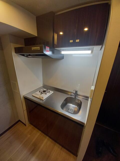 ミレドゥーエ西小山の設備| 調理スペースも十分ですね。