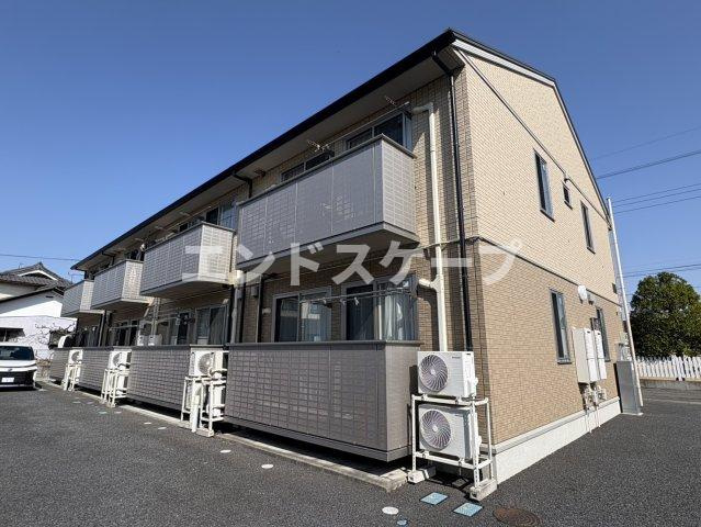 ブライトグローブ　　Ｎ