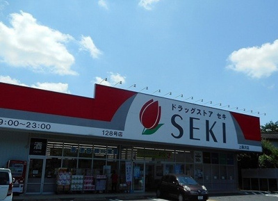 【周辺】 | グリーンビレッジ藤沢 | ドラッグストアセキ 上藤沢店まで700m