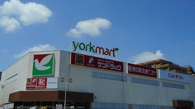 【周辺】 | グリーンビレッジ藤沢 | ヨークマート 入間店まで450m