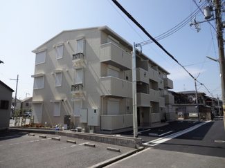 | アオーラ　ヌエボ　Ⅱ