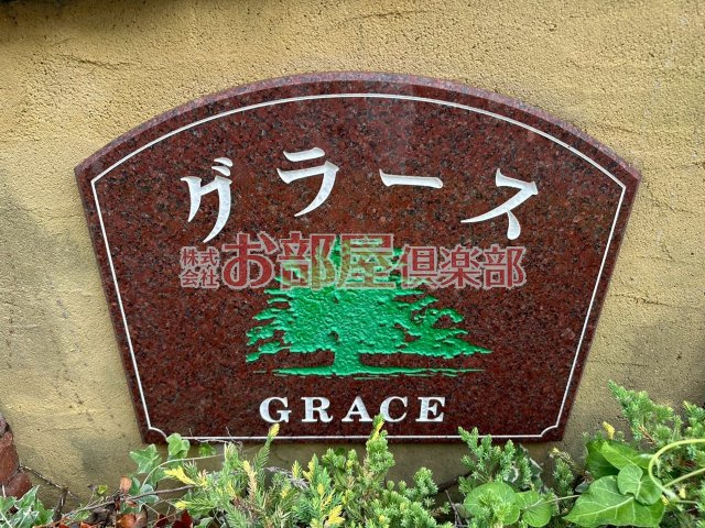 グラースのその他