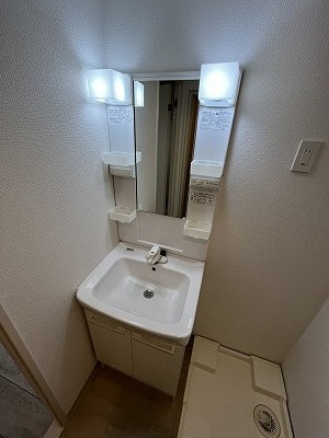 エース奥沢マンションの洗面所