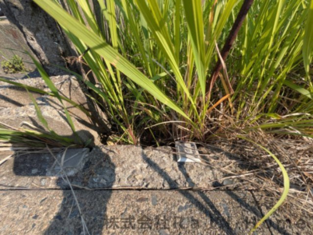 姫路市大津区恵美酒町1丁目　売土地のその他