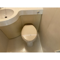 落ち着いた色調のトイレです