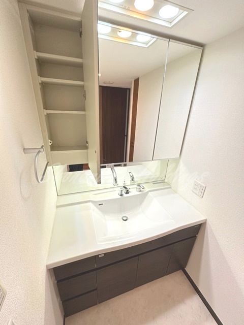 茅ヶ崎市矢畑の賃貸マンションの洗面所