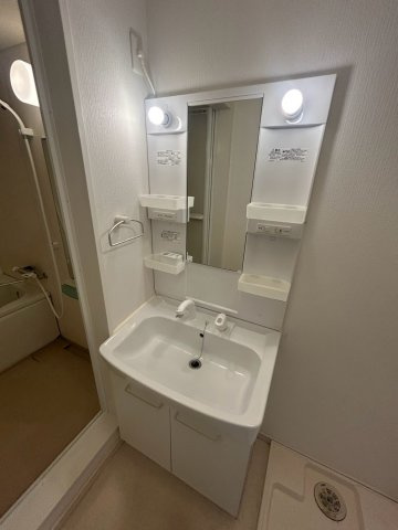 ルージェ仁川の洗面所