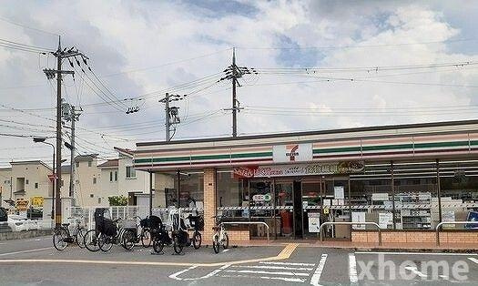 フェリーチェのその他